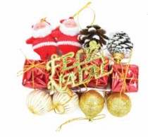 KIT SORTIDOS ENFEITE DE ARVORE 12 PECAS - Distribuidora 12 de Outubro