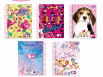 CADERNO UNIV FEM CD 160 FLS 10 MAT PCT C/ 4 - Distribuidora 12 de Outubro