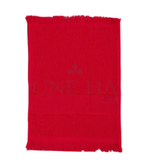 TOALHA VISITA P/ BORDAR 21 X 30 VERMELHO - Distribuidora 12 de Outubro