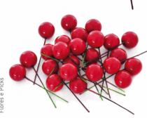 SACO FRUTOS VERMELHOS M - Distribuidora 12 de Outubro