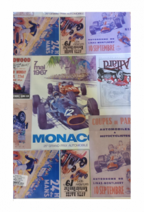 SAC CARROS 30X45 - Distribuidora 12 de Outubro