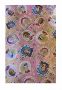 SAC PRINCESAS 30X45 - Distribuidora 12 de Outubro