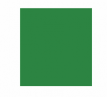 EVA 40X48CM C/10FLS VERDE ESCURO - Distribuidora 12 de Outubro