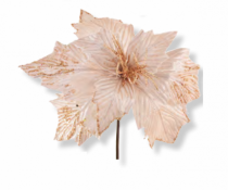 FLOR CANDY COLORS SCHAR - Distribuidora 12 de Outubro