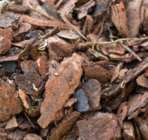 SUBSTRATO ORQUIDEA - Distribuidora 12 de Outubro