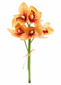 BOUQUET ORQUIDEA X5 - Distribuidora 12 de Outubro