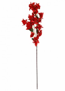 BOUGAINVILLEA VERMELHA - Distribuidora 12 de Outubro