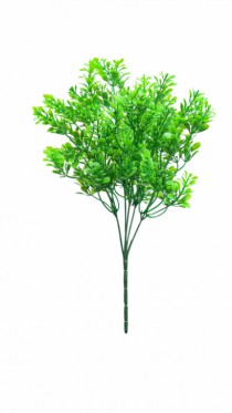 FOLHAGEM - Distribuidora 12 de Outubro