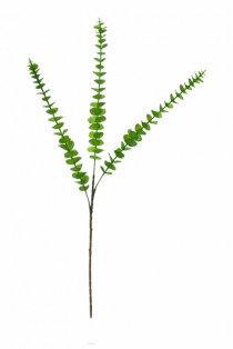 EUCALIPTO X3 83CM - Distribuidora 12 de Outubro