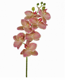 HT ORQUIDEA 3D X7 VERDE ROSA - Distribuidora 12 de Outubro