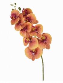 HT ORQUIDEA X9 PVC AMARELO - Distribuidora 12 de Outubro