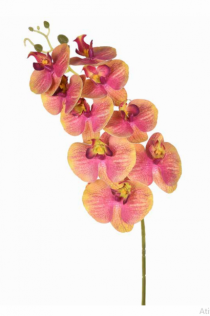 HT ORQUIDEA X9 PVC ROSA - Distribuidora 12 de Outubro