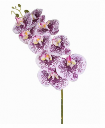 HT ORQUIDEA X9 PVC LAVANDA - Distribuidora 12 de Outubro