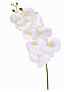 HT ORQUIDEA X7 PVC BRANCO - Distribuidora 12 de Outubro