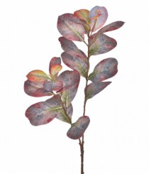 HT FICUS CONCINNA 3D VERMELHO - Distribuidora 12 de Outubro