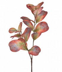 HT FICUS CONCINNA 3D LARANJA - Distribuidora 12 de Outubro