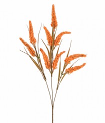 HT RABO DE GATO X3 CAFE - Distribuidora 12 de Outubro