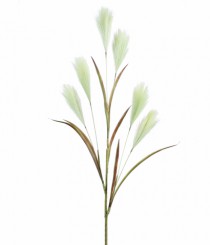 HT PAMPAS X6 VERDE - Distribuidora 12 de Outubro