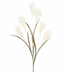 HT PAMPAS X6 BEGE - Distribuidora 12 de Outubro