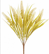 BQ CATTAIL X7 CREME - Distribuidora 12 de Outubro