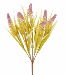 BQ CATTAIL X7 LAVANDA - Distribuidora 12 de Outubro