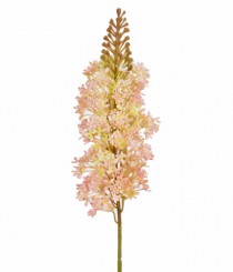 HT DELFINIUM ROSA - Distribuidora 12 de Outubro