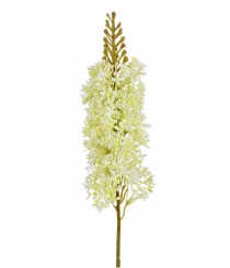 HT DELFINIUM CREME VERDE - Distribuidora 12 de Outubro