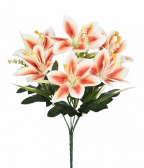 BQ LIRIO X6 3D LARANJA - Distribuidora 12 de Outubro