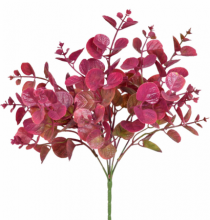 BQ EUCALIPTO X5 VERMELHO - Distribuidora 12 de Outubro