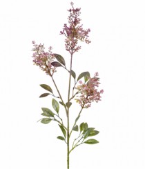 HT BERRIES X3 LAVANDA - Distribuidora 12 de Outubro