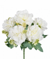 BQ PEONIA X5 CREME - Distribuidora 12 de Outubro