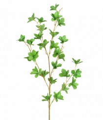 HT FOLHAS DO CAMPO X5 VERDE - Distribuidora 12 de Outubro