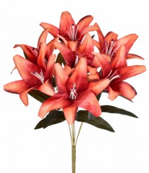 BQ LIRIO X7 LARANJA OUTONO - Distribuidora 12 de Outubro