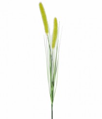 HT CATTAIL X2 VERDE - Distribuidora 12 de Outubro