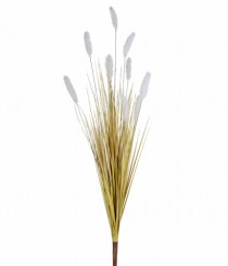 PL CATTAIL X5 BEGE - Distribuidora 12 de Outubro