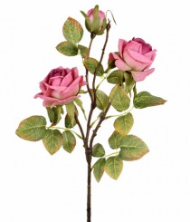 HT ROSA X3 ROSA OUTONO - Distribuidora 12 de Outubro