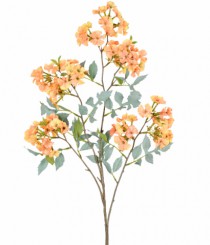 HT CEREJEIRA X4 LARANJA SALMAO - Distribuidora 12 de Outubro