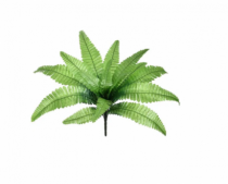 FOLHAGEM SAMAMBAIA X15 VERDE - Distribuidora 12 de Outubro