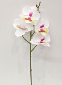 HT ORQUIDEA X 4 BRANCO - Distribuidora 12 de Outubro