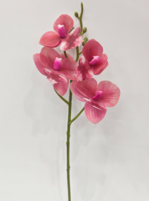 HT ORQUIDEA X 4 CORAL - Distribuidora 12 de Outubro