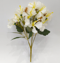 BQ HIBISCO X5 CREME - Distribuidora 12 de Outubro