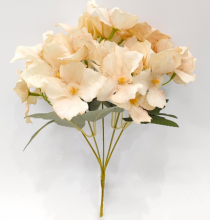 BQ HORTENSIA X5 CREME - Distribuidora 12 de Outubro