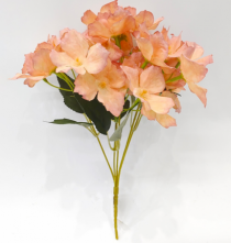 BQ HORTENSIA X5 ROSA - Distribuidora 12 de Outubro