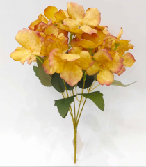 BQ HORTENSIA X5 MOSTARDA - Distribuidora 12 de Outubro