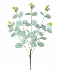 HT EUCALIPTO X5 VERDE CLARO - Distribuidora 12 de Outubro