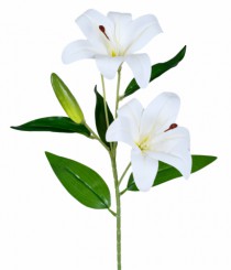 HT LIRIO X2 BRANCO - Distribuidora 12 de Outubro