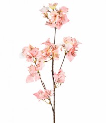 HT BOUGAINVILLE OUTONADA X3 SALMAO - Distribuidora 12 de Outubro