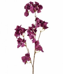 HT BOUGAINVILLE OUTONADA X3 VINHO - Distribuidora 12 de Outubro