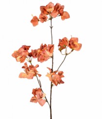 HT BOUGAINVILLE OUTONADA X3 MARRON - Distribuidora 12 de Outubro