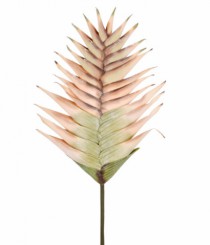 HT FOLHA DE HELICONIA OUTONADA CREME - Distribuidora 12 de Outubro